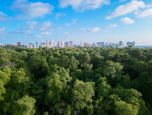 Assurance pour animal de compagnie : essentielle pour protéger votre compagnon