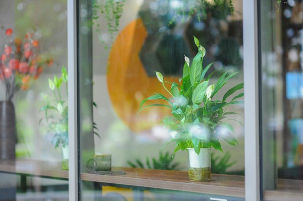 Découvrez les meilleurs abonnements de magazines de mots croisés !